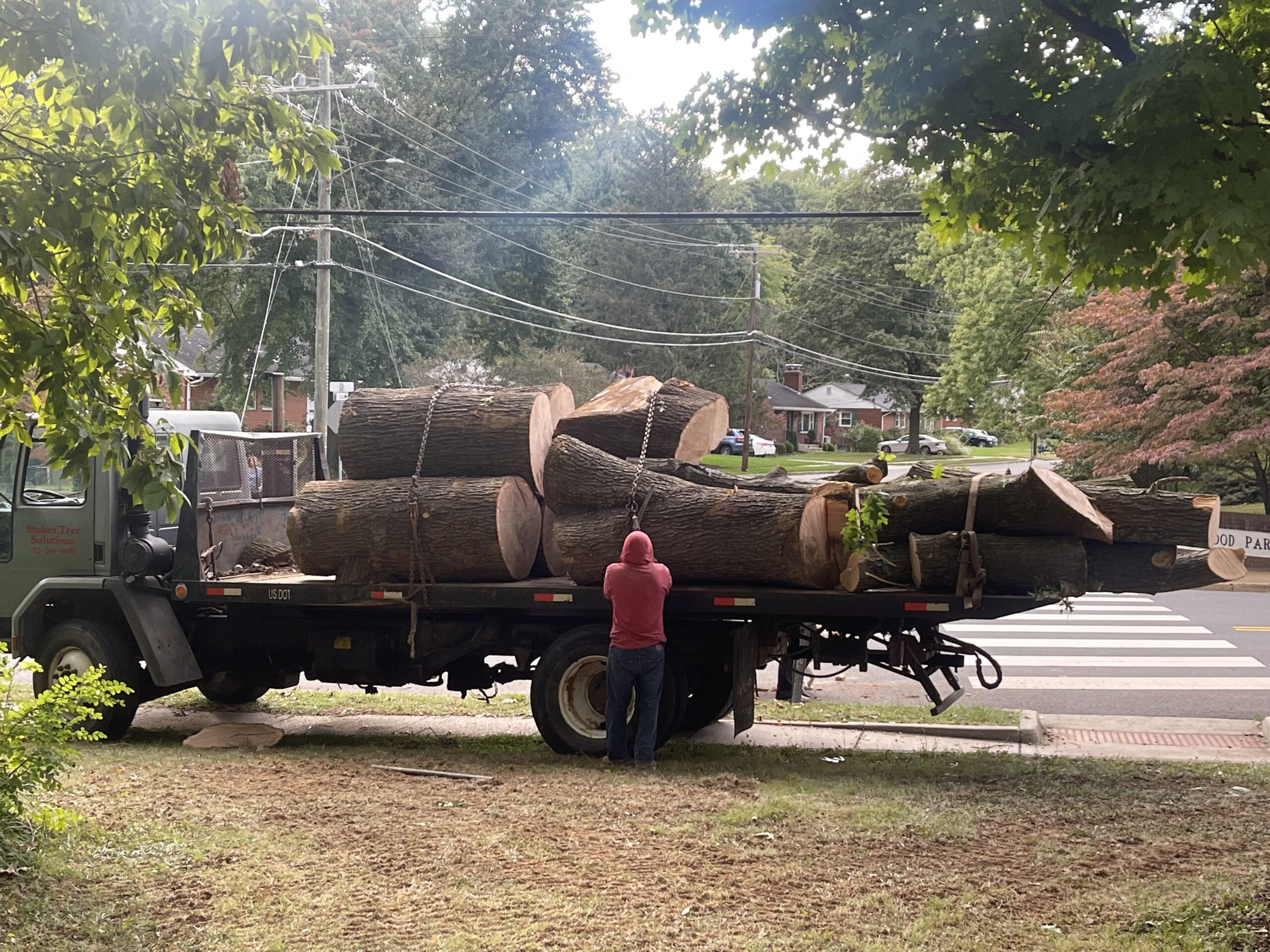 Stokes Tree Solutions Introduces Best Safety Practices for Tree Trimming in Fairfax, VA